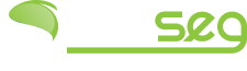 Logo THE SEG Seguros e Soluções Financeiras